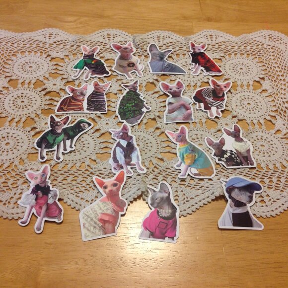 Sphynx Cats Stickers, funny, quirky, silly, for computer, crafts, lockers - Picture 1 of 7